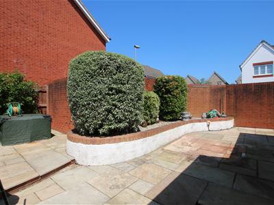 Picture 14
